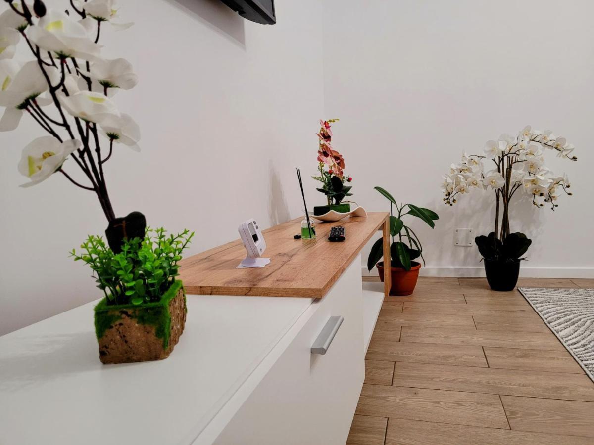 Casa Feli Apartment Brasov Bagian luar foto